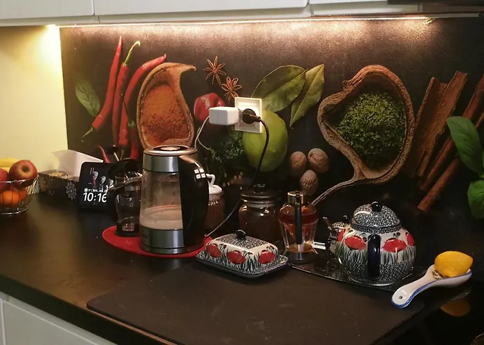 公寓 Famma W View 波兹南